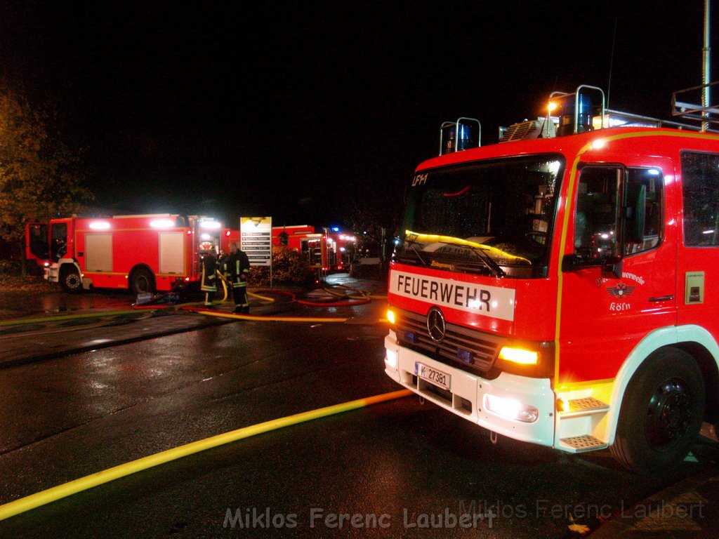 Saureaustritt Koeln Loevenich Daimlerstr P458.JPG